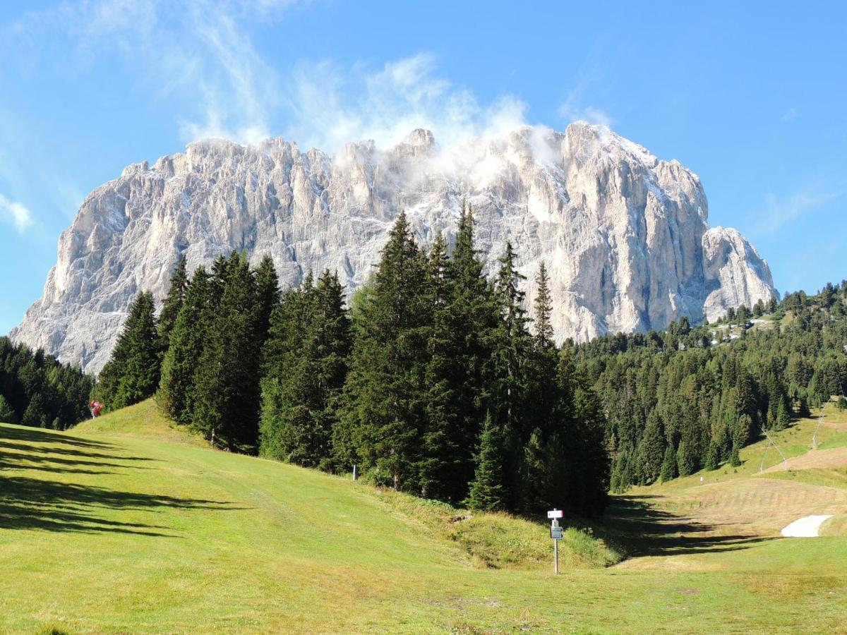 Hotel Chalet Dlaces Selva di Val Gardena Exteriör bild
